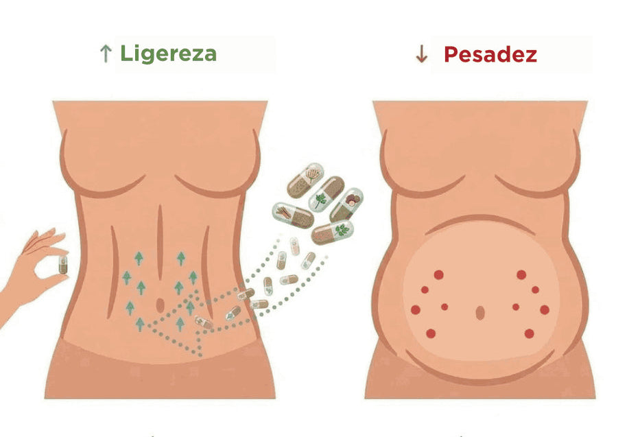 Menos hinchazón, abdomen más plano y ligero